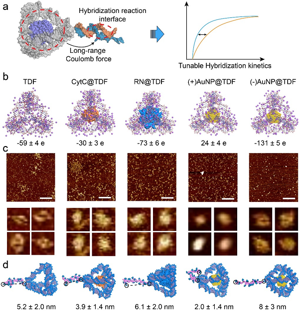 1634867986516667.png 20210617111628_79867 (1).png