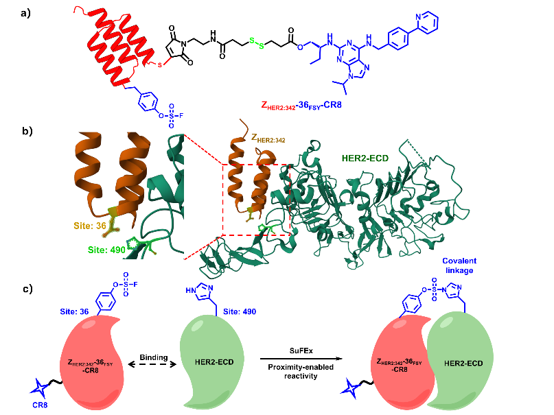 1697689286157109.png 图片 7.png