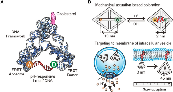 1737506403692025.png 640 (4).png