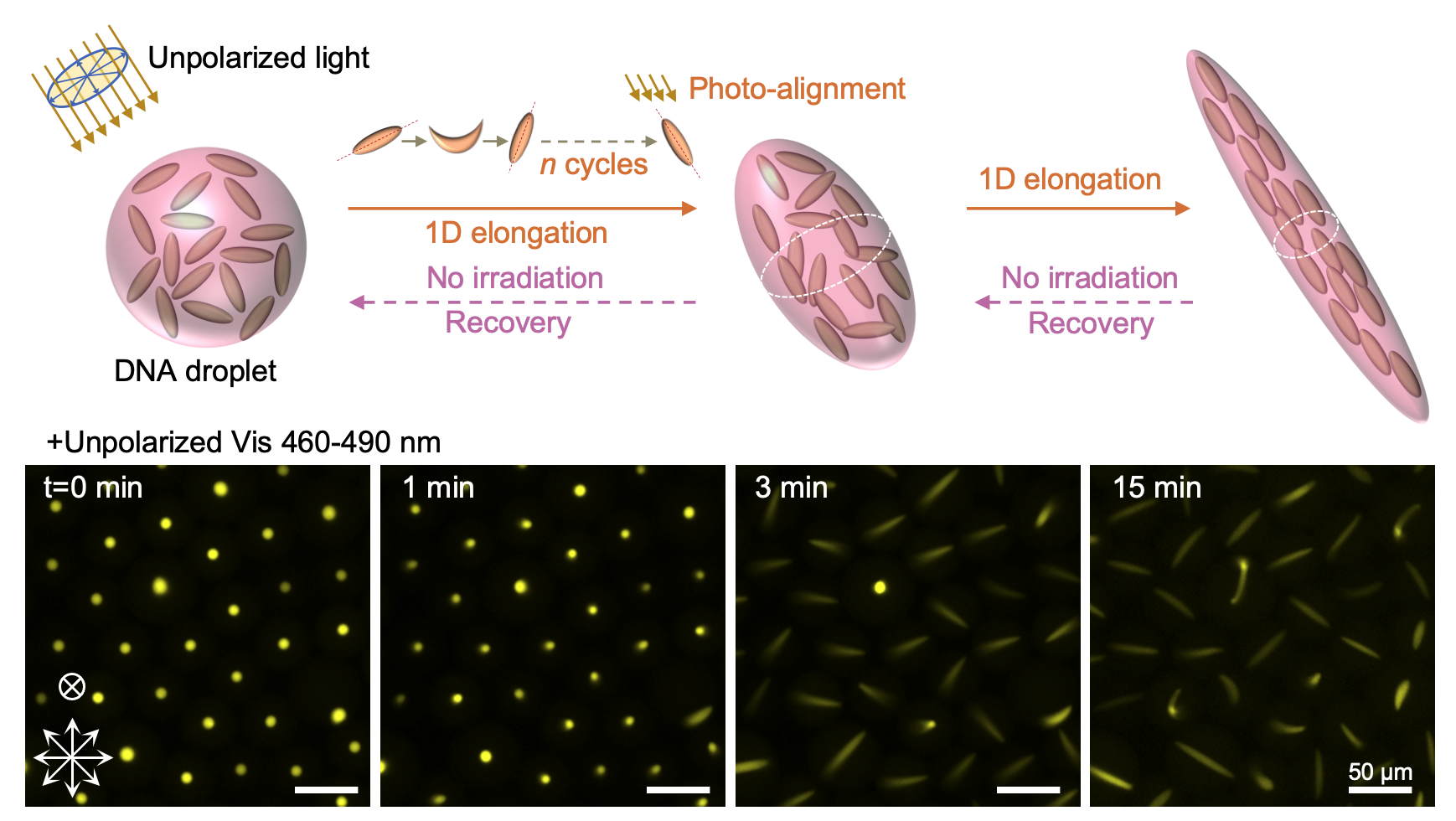 1744199350998941.png Screen Shot 2025-04-09 at 19.44.39.png