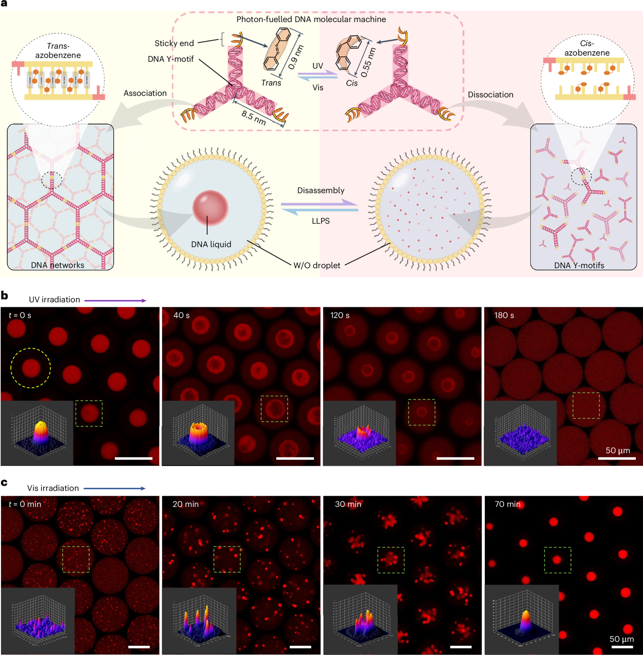 1744249943248126.png 2.png